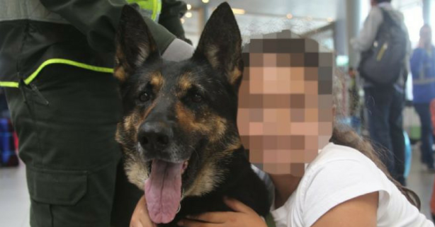 A Colombian Drug Cartel Just Put a $70K Hit on a Drug Sniffing Dog