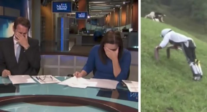 Goat Man Story Causes News Anchor to Lose it on Air
