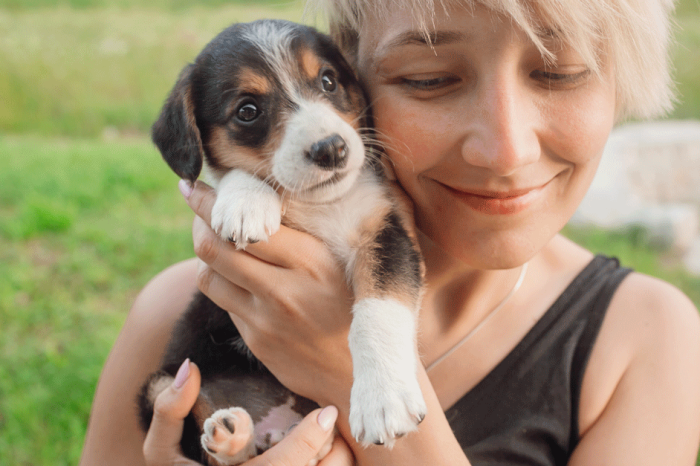 This Study Proved What We Knew About People and Their Pets All Along