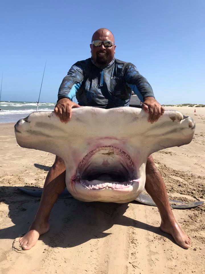 Texas Man Catches 14Foot Hammerhead Shark, Has Pics to Prove It Rare