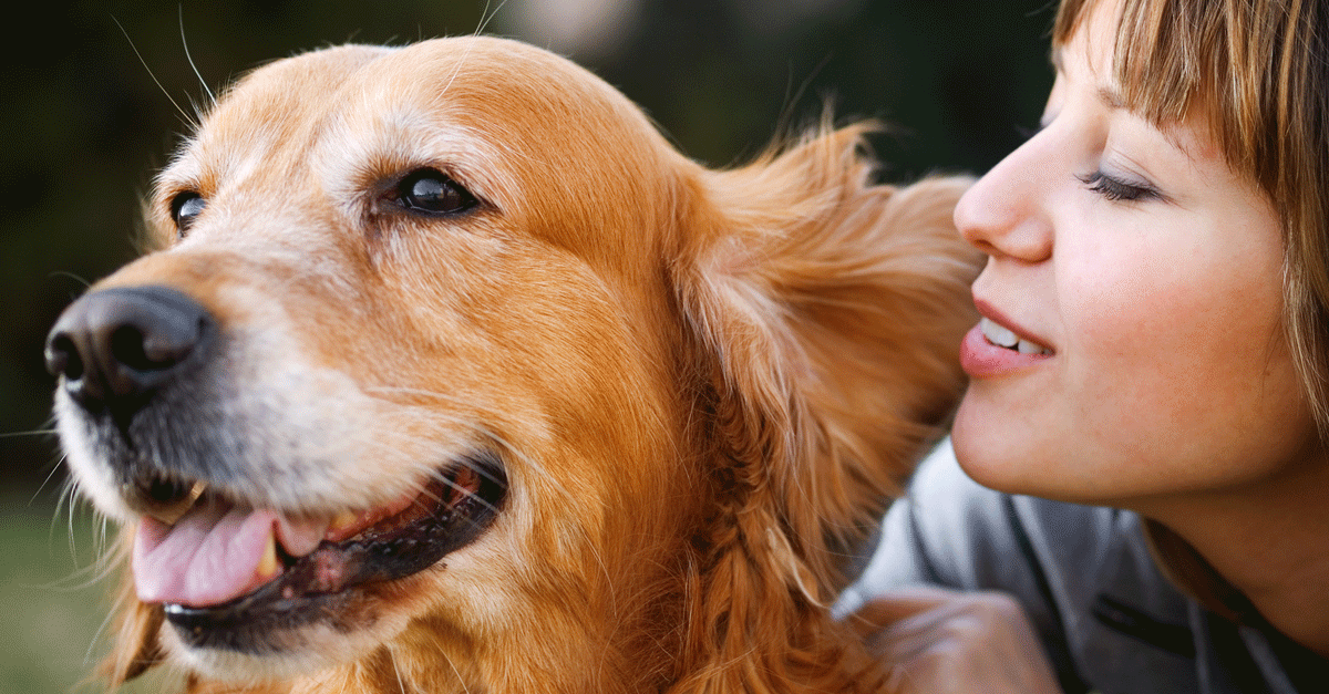 New Study Shows Dogs May Understand Human Speech and Intonation | Rare