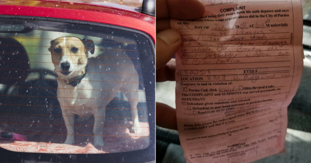 Man Gets Criminal Citation for Breaking into ‘Hot Car’ to Save 2 Dogs