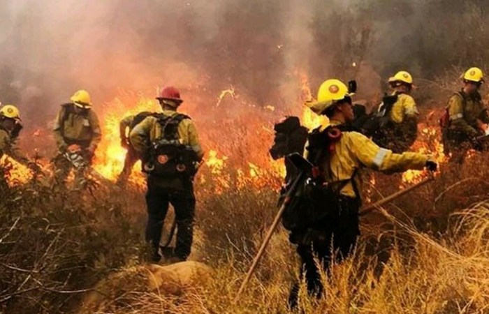 29 Texas Fire Departments Deploy Teams to California to Combat Wildfires