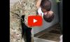 Military Dad Surprises 5-Year-Old Son, And His Reaction Is Everything