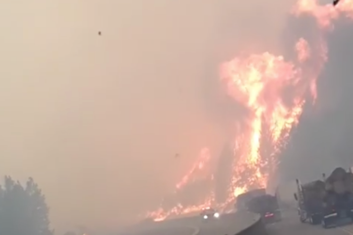 Woman Films Wildfire as it Engulfs the Highway She’s Driving On