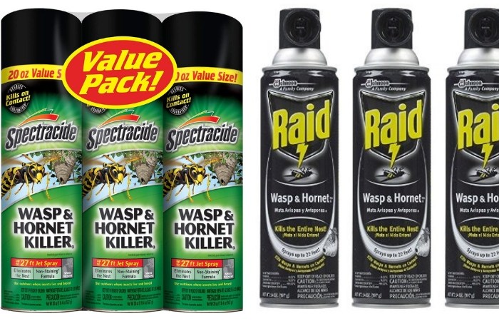 “Wasping”: People are Reportedly Replacing Meth with Wasp Killer to Get High