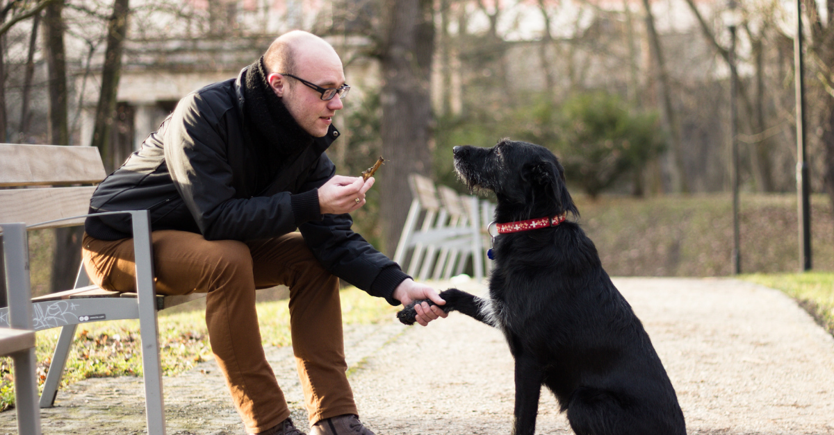 If You Talk to Your Dog Like It’s a Person That Means You’re Smart | Rare