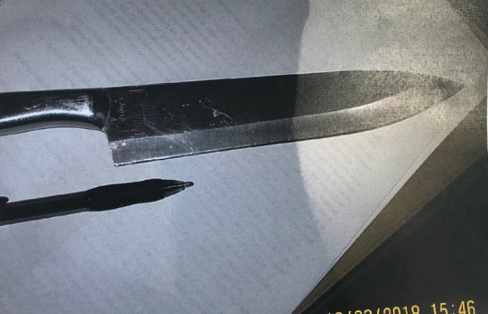 2 Girls Planned Knife Attack to “Leave Body Parts at the Entrance” of Middle School