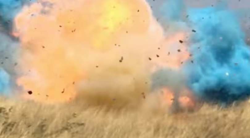 Gender Reveal Party Ends In 8 Million Wildfire Explosion Rare