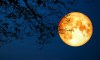 It’s Here! Here is How To See The The Super Blood Wolf Moon on January 20th!