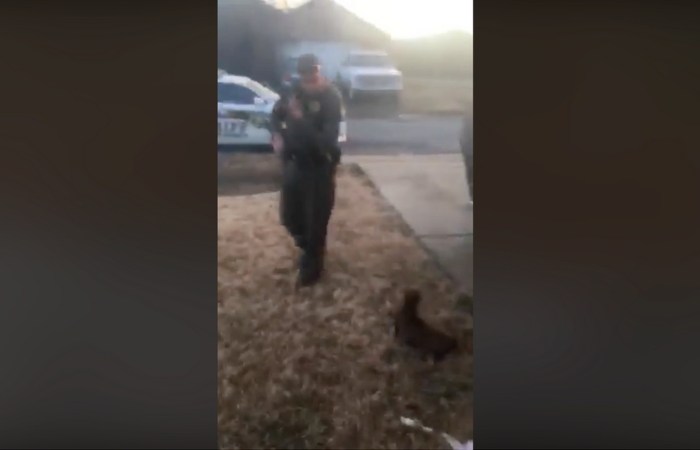 Police Officer Fired After Shooting Small Barking Dog During Service Call