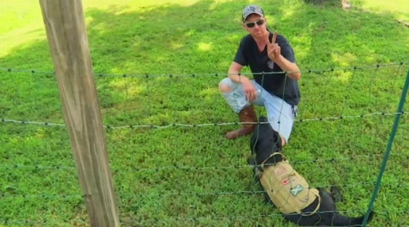 Man Puts Up Electric Fence to Keep Kids Off Lawn, Parents Furious
