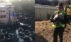 Truck Carrying 3,000 Piglets Overturns Leaving A ‘Pig’ Mess!