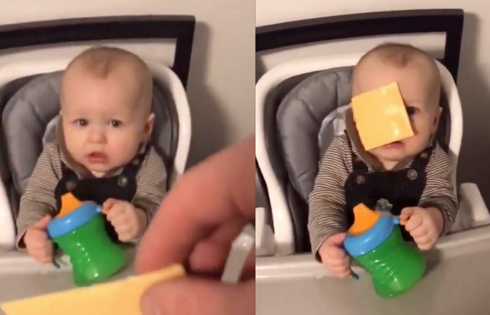People Are Throwing Cheese At Babies, And We Can’t Stop Laughing at The Reactions!