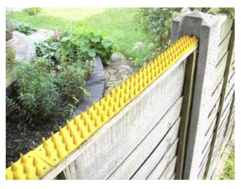 Coyote Protection How to Protect Your Pet with Body Armor Rare