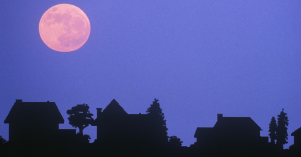 A Pink Moon Is Rising This Week, Here’s How to See It