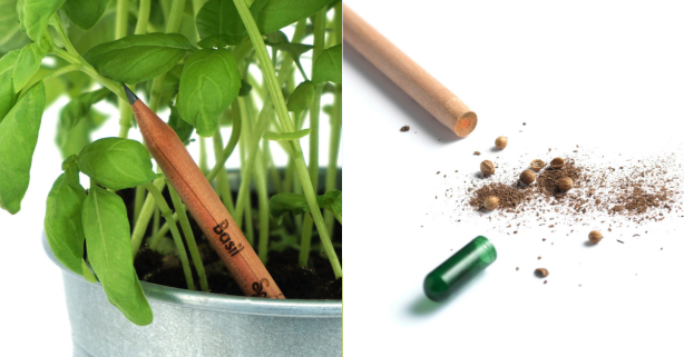 Plant These Pencils Nubs and Grow Your Own Herb Garden