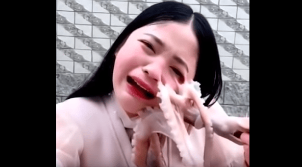 Social Media Influencer Films Attempt to Eat Live Octopus, Gets Attacked by Live Octopus
