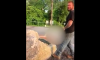 Men Pee on Boy's Cancer Memorial