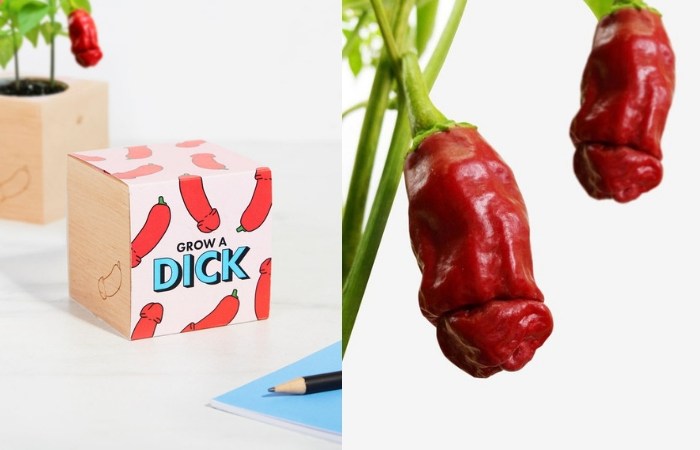 This ‘Grow a Dick’ Chili Plant Will Spice Up Your Kitchen In More Than One Way