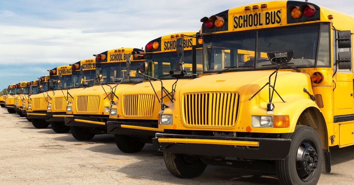 10-Year-Old With Special Needs Bitten by Student on School Bus