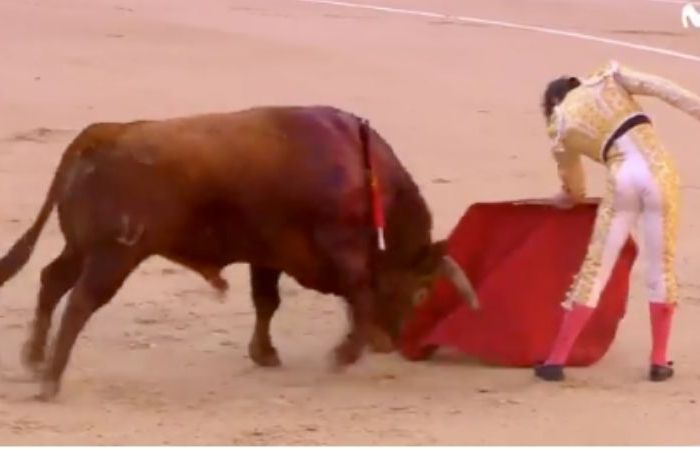 Matador Suffers Gruesome Butt Wound After Being Gored by Bull