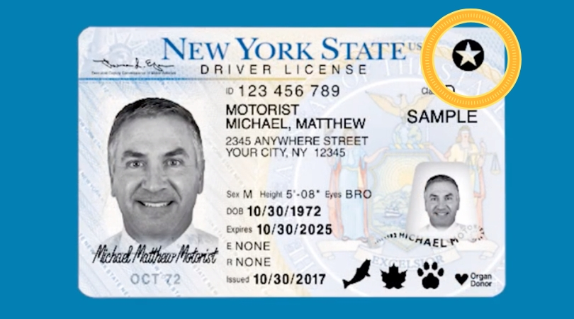 florida dmv driver license check