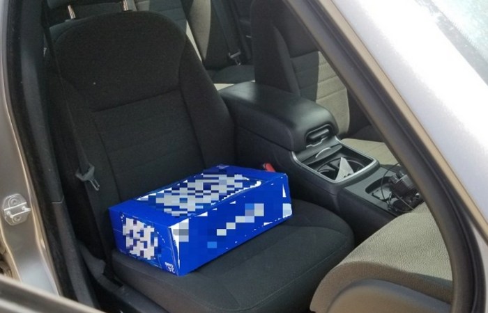 Driver Charged for Using Case of Beer as Toddlers Booster Seat