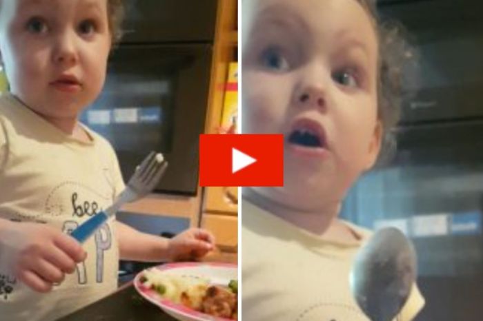 Toddler Hilariously Reacts After Learning Where Sausages Come From