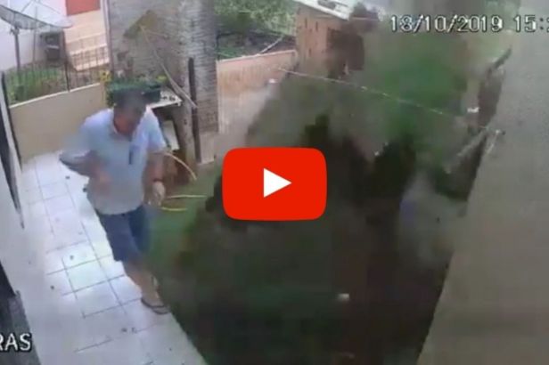 Dummy Blows Up His Own Lawn After Trying to Set a Cockroach on Fire