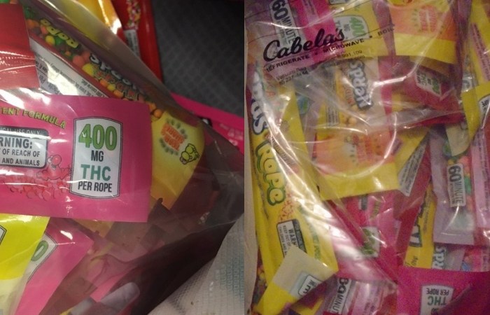 THC-Laced Halloween Candy Causes Concern for Police, Parents