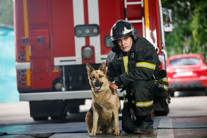 Dog Accidentally Starts House Fire by Switching on Microwave