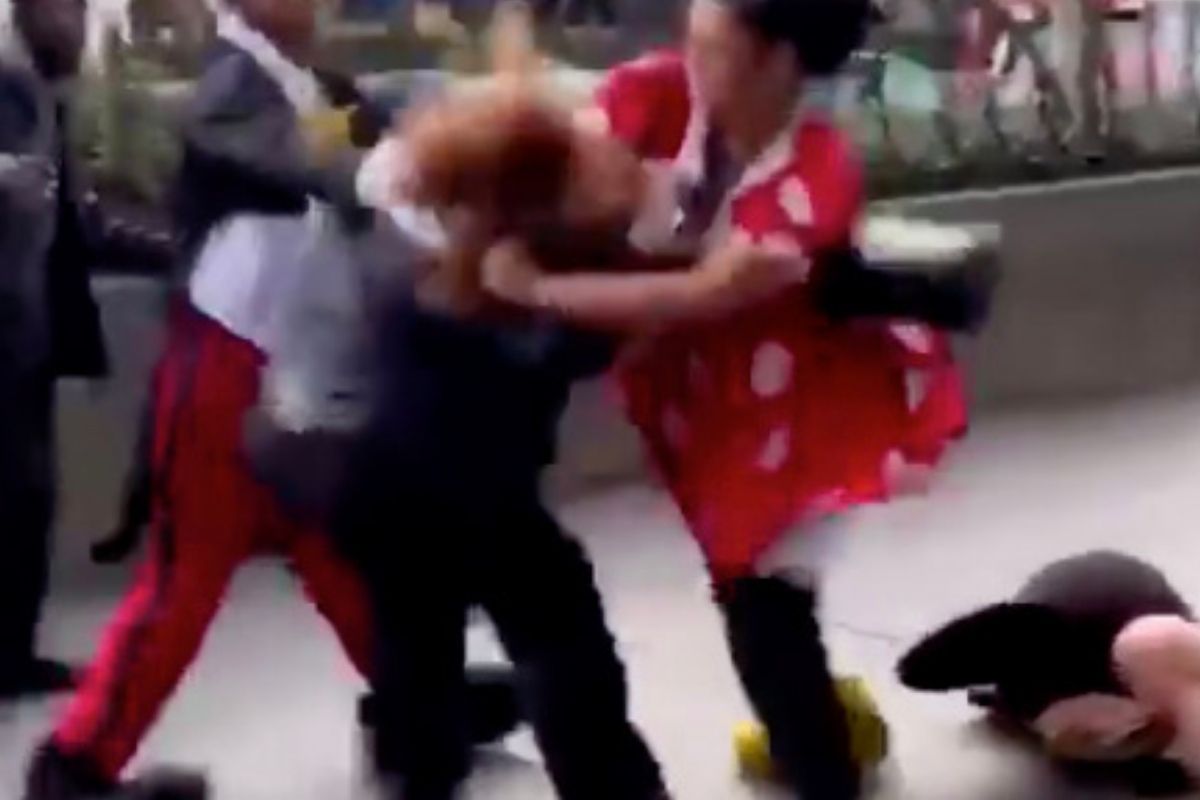 Minnie Mouse Street Performer Brutally Beats Down Security Guard in Fight Video