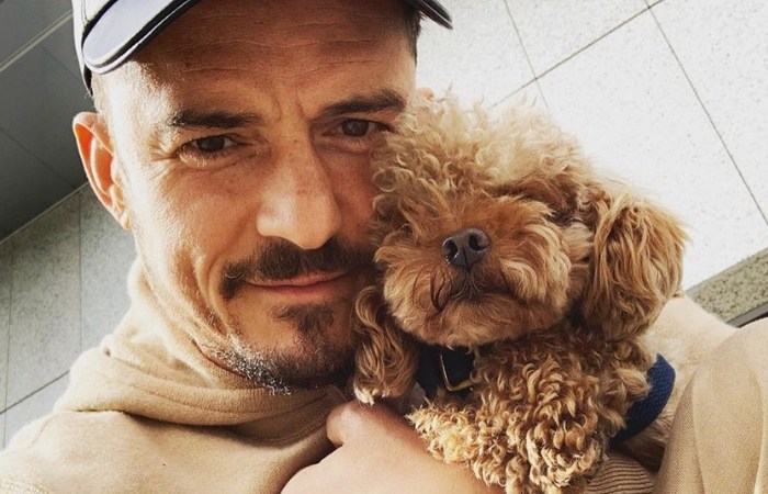 Orlando Bloom Made An Ornament Out of His Dead Dog’s Penis, and We Have So Many Questions