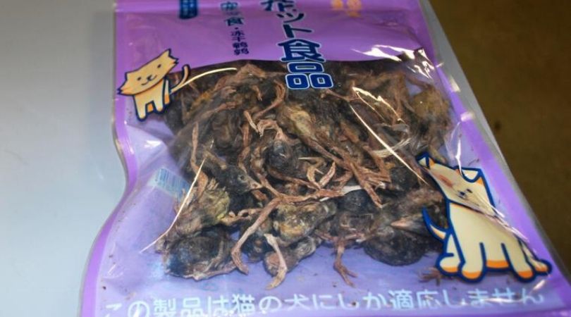 Bag of Dead Birds Confiscated From Passenger Arriving From China at U.S. Airport