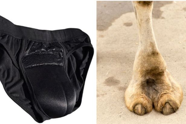 Fake Camel Toe Underwear is One of the Weirdest Fashion Trends Ever
