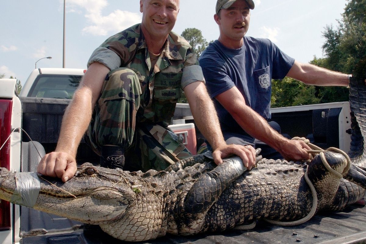 75-year-old Man Fights Off Alligator Trying to Eat Daughter’s Dog