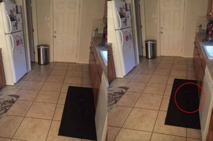 The Internet Was Stumped: Can You Find the Dog in this Picture?