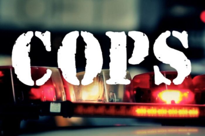 ‘Cops’ Canceled Amid Protests Against Police Brutality