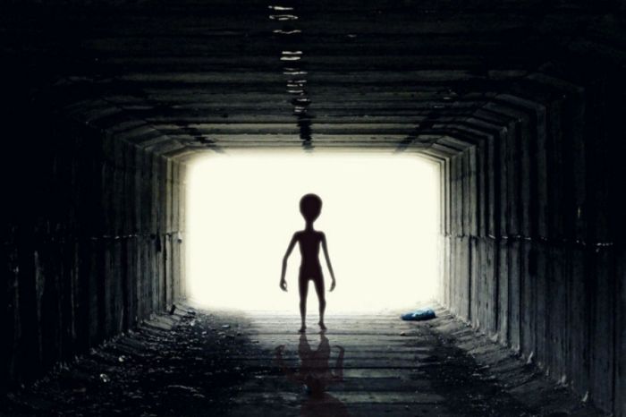 NASA Scientist Says Aliens May Have Visited Earth Without Us Knowing