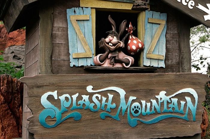 Disney Is Changing The Splash Mountain Ride Amid Criticism Over Racist Film