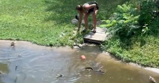Mom Climbs into Alligator Pit with Her Child to Grab Lost Wallet