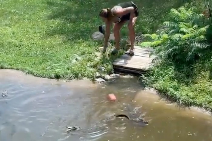 Mom Climbs into Alligator Pit with Her Child to Grab Lost Wallet