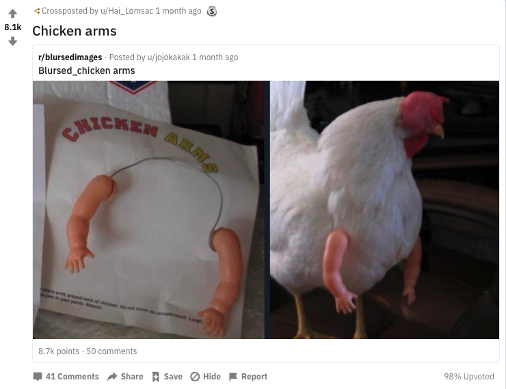 arms for chickens