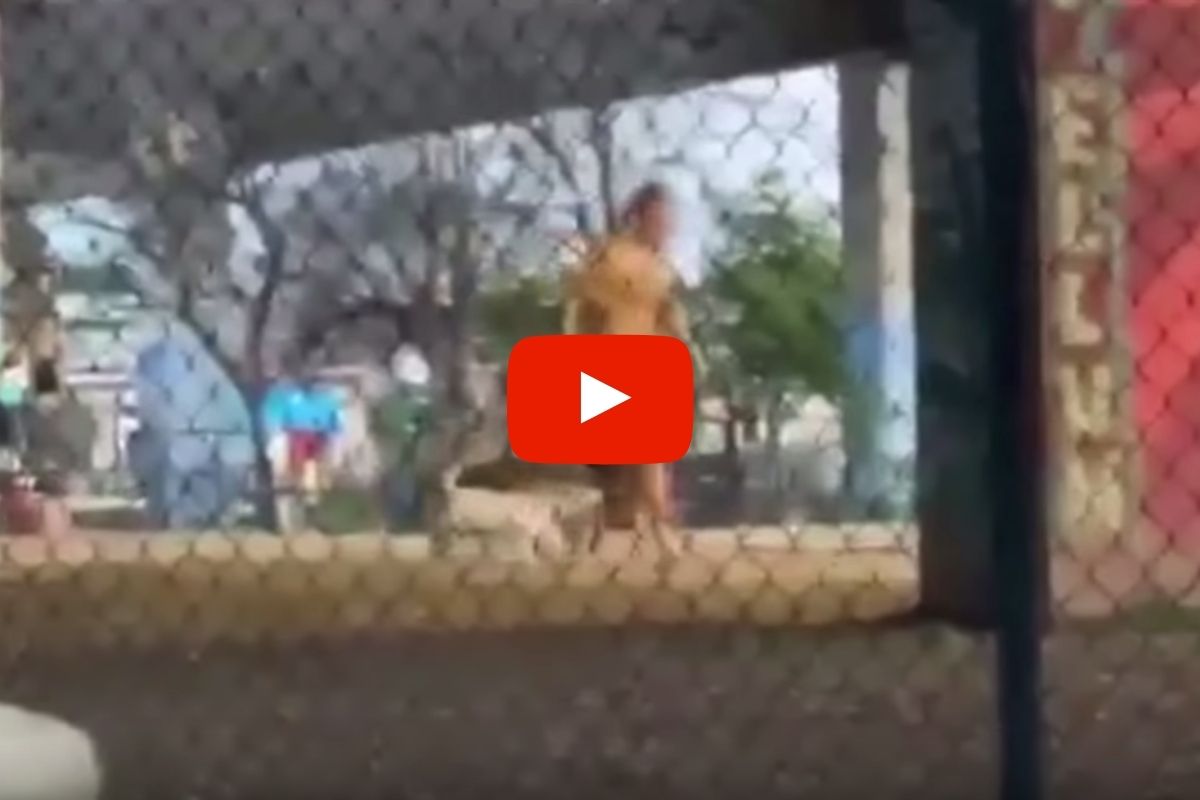 Practically Naked Man Covers His Entire Body in Peanut Butter and Visits Texas Dog Park