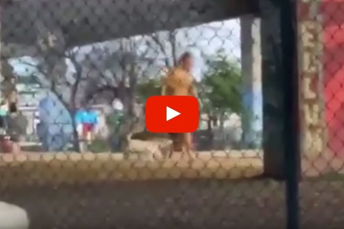 Practically Naked Man Covers His Entire Body in Peanut Butter and Visits Texas Dog Park