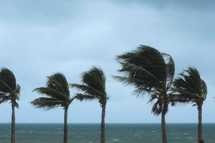 Hurricane Laura Forecast To Hit U.S. Gulf Coast as Major Hurricane