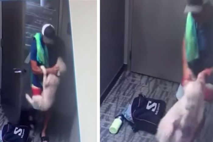 CEO Caught Choking and Beating 4-Month-Old Puppy on Camera