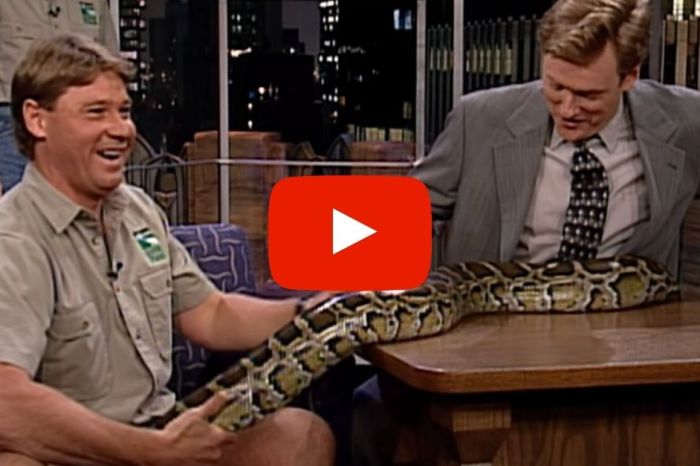 Remember When Steve Irwin Brought a Crocodile on ‘The Late Show With Conan O’Brien’?