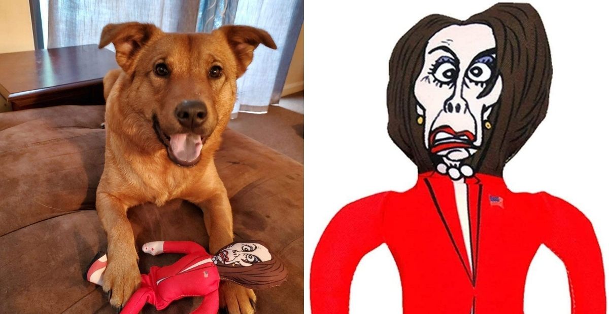 Amazon is Selling Nancy Pelosi Dog Chew Toys + More Political Figures
